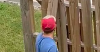 Homeowner takes revenge on neighbour who built fence through part of their garden