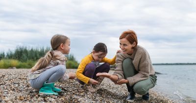 Beach warning as taking shells and pebbles home could result in £1,000 fine