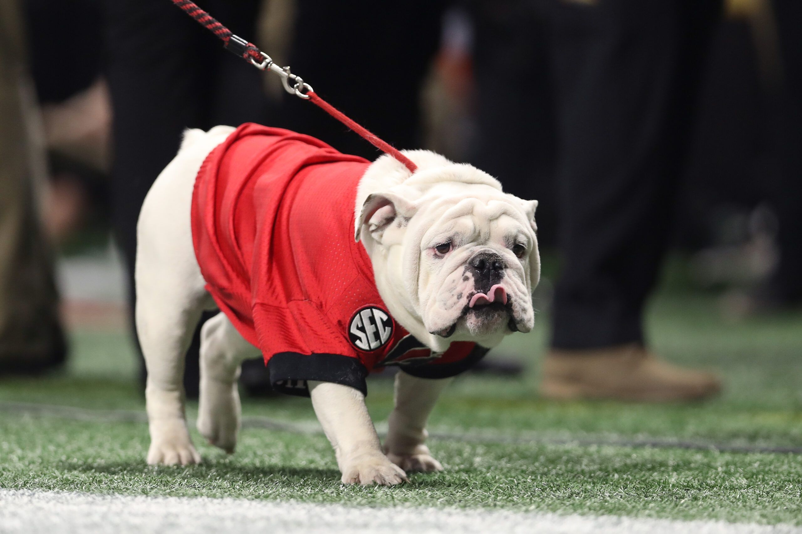 2024 SEC opponents announced This is going…