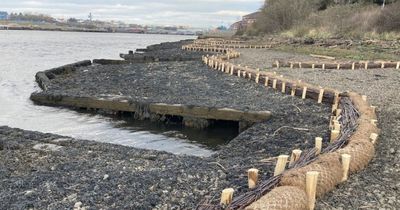 Blow as environmental schemes around North East are vandalised