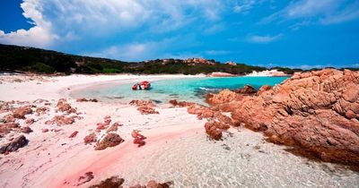 Tourists taking selfies on beautiful pink beach could be slapped with £427