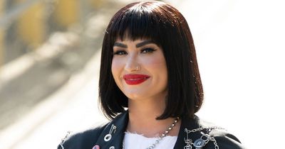 Demi Lovato ditches they/them pronouns after 'absolutely exhausting' experience