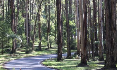 What to do with 1.8m hectares of Victorian public forest?