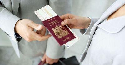 Brit claiming to be 'emotionally' in the EU allowed to use different passport queue