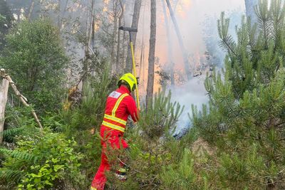 Firefighters tackle wildfires across South Wales as service is ‘inundated’