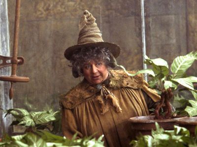 Fans praise Miriam Margolyes’ honesty over Harry Potter comments: ‘So effortlessly unfiltered’