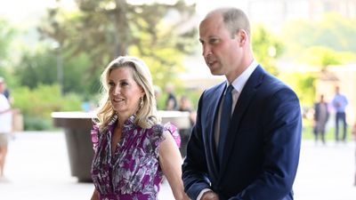 Duchess Sophie shows her 'maternal side' with Prince William as she emulates Diana's 'parent/child dynamic'