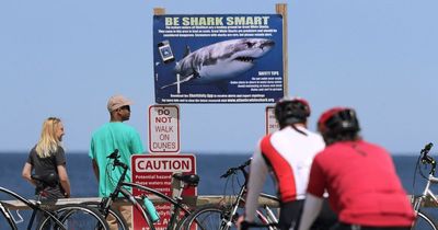 Urgent shark warning off US coast as beachgoers told take crucial action before going in water