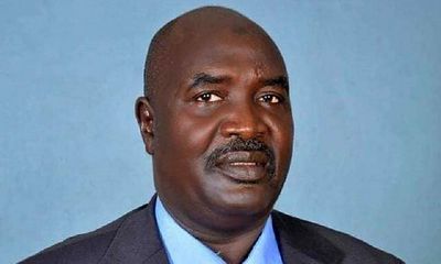 Sudan: paramilitary forces blamed for assassination of West Darfur governor