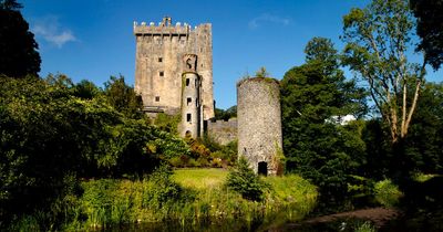 Inside the forgotten Cork castle said to be 'more beautiful than Blarney' that's ready to reopen