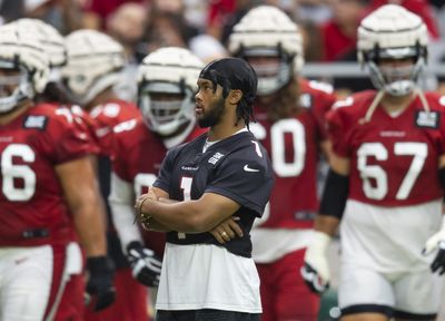 Cardinals announce 11 open training camp practices