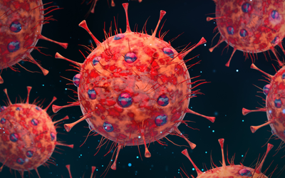 Madonna King: Rice in a public toilet? We’ve forgotten the lessons learned in the pandemic