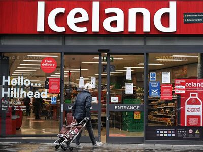 Iceland Ireland ordered to recall all frozen animal products