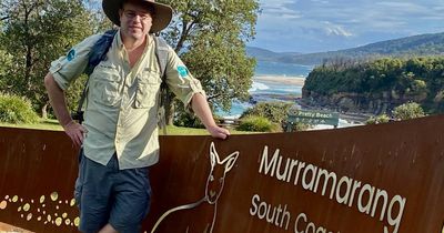 Waterfalls to rainforests, this new South Coast walk has it all