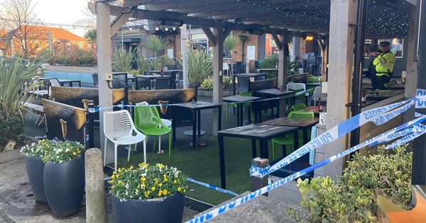 Nurse fought to save Elle Edwards as she lay dying outside pub