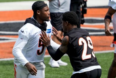 Bengals reveal dates for training camp, joint practice with Packers