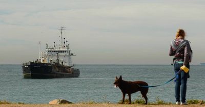 'Ridiculous': Valuable sand dumped at sea as Stockton erodes