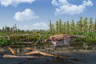 New species of dinosaur with armoured body discovered on Isle of Wight