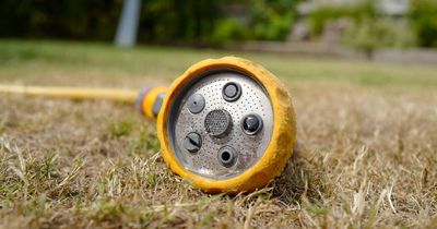 Millions hit with hosepipe ban after water company faces record demand in heatwave