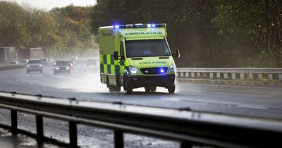 Workplace tragedy in Cork as man in his 60s dies at wood yard