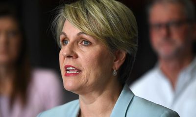 Tanya Plibersek approves habitat clearing in Darwin despite risk to endangered bird