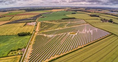 Green energy producer Voltalia opens its largest UK solar park in Dorset