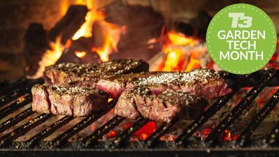Charcoal vs Gas vs Pellet vs Electric: which type of barbecue is best for you?