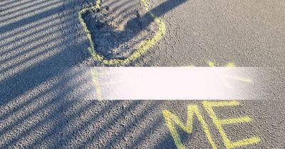 Vigilantes spray-paint F-word on road to warn drivers of giant pothole