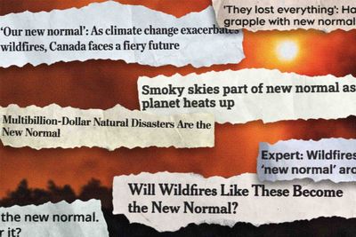 Stop Calling Each New Disaster “The New Normal”