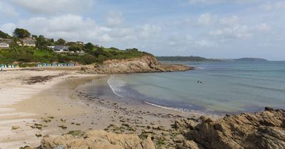 West Country beach 'turned into a warzone' with tourists too afraid to visit
