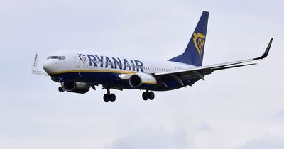'We're approaching Palestine': Ryanair crew member tells passengers landing at Tel Aviv airport