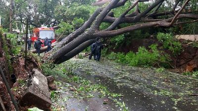 Cyclone Biparjoy inflicts havoc in Gujarat; Many injured, 940 villages in darkness, several trees uprooted