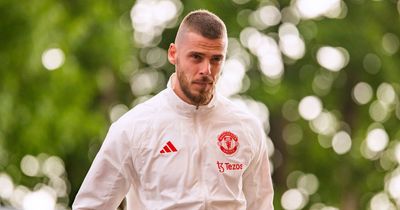 Manchester United issue David de Gea contract update