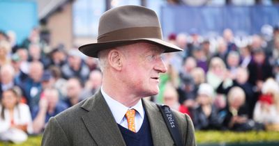 €23million spent at Goffs sale as Willie Mullins and Gordon Elliott both make expensive purchases