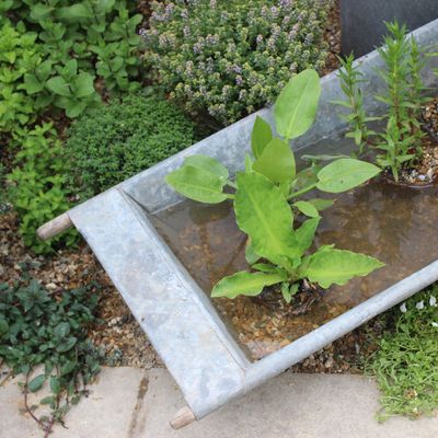 How to embrace rain harvesting, the age-old watering hack we all need in our gardens