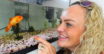 'Merseyside's oldest goldfish' dies aged 22