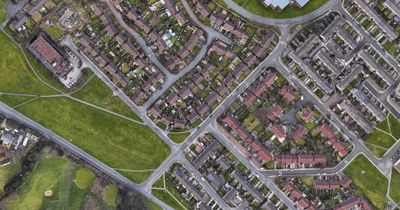 Young boy and woman attacked by Boxer dogs after they escaped house