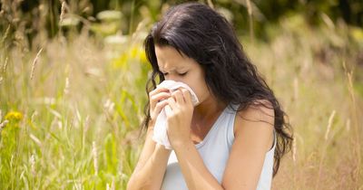 Hay fever sufferers offered hope with 'red light' device giving 'rapid relief'