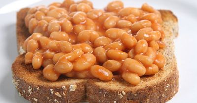 Baked beans could be grown in Britain for first time after scientists' discovery