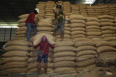 El Niño likely to propel rice exports
