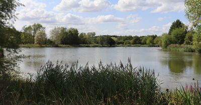 Nottinghamshire park named best budget and family-friendly picnic spot in the country