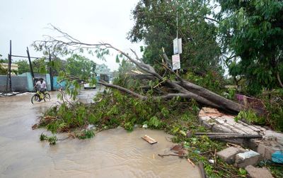 Thousands in western India relief camps begin returning home as Cyclone Biparjoy recedes