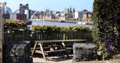 Vote for your favourite North East beer garden for a pint in the sun in our interactive poll