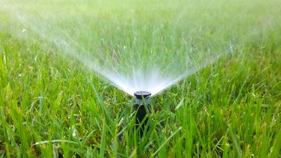 Should you water your lawn after mowing? Lawn care experts offer their tips on this watering dilemma