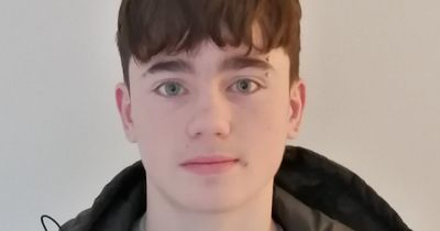 Gardai renew appeal for information on missing Meath teenager