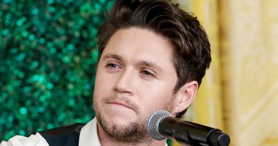 Niall Horan 'convinced' himself he wasn't struggling with mental health