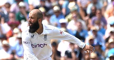 Moeen Ali shows dream Ashes return is still possible as Australia recognise threat