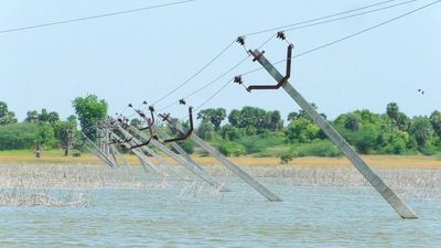 Tangedco cuts power supply to damaged poles on the lake near Cheyyar in Tiruvannamalai