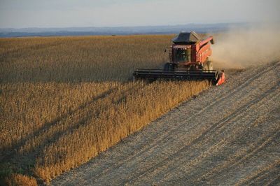 Midwest Drought: How High Will Wheat, Soybeans, and Corn Rise?