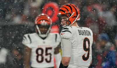 Bengals slot five players in new top 100 rankings